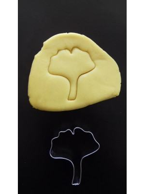 Feuille de ginkgo