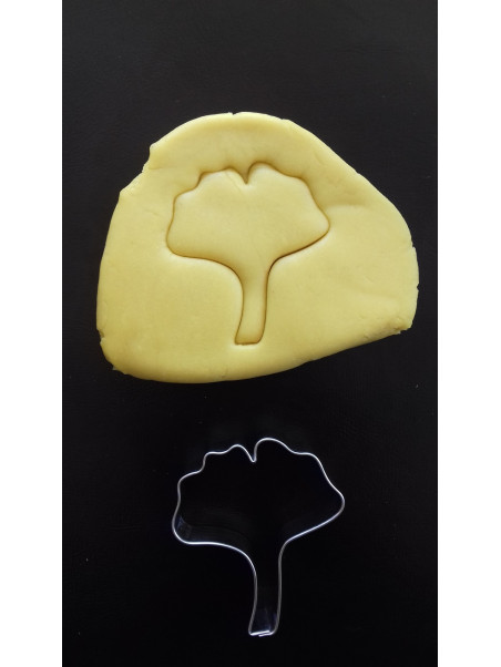 Feuille de ginkgo