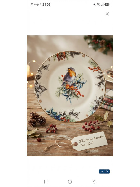 Petite assiette rouge-gorge
